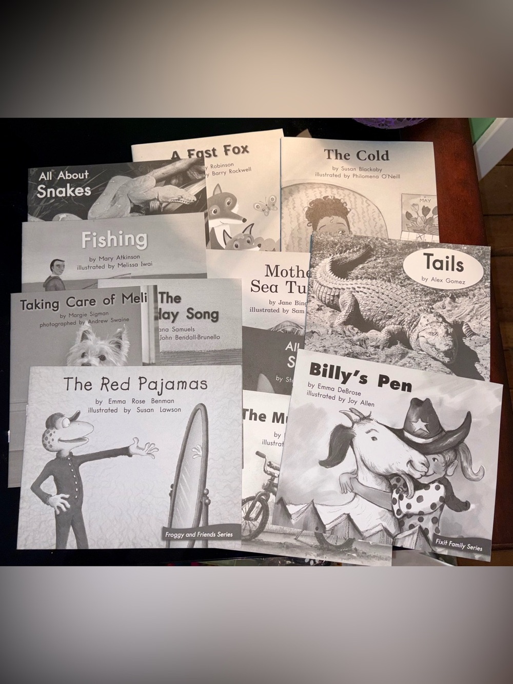Children's Beginner Paper Back Reading Books set of 12